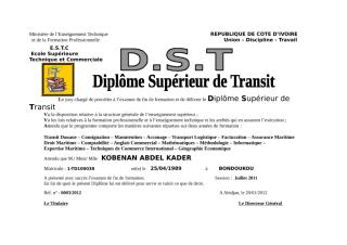 DST_KOBENAN.doc