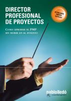 Director_profesional_Proyectos.pdf